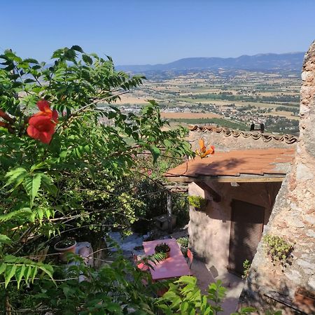 Villa Rurale Nei Pressi Castello Campello sul Clitunno Eksteriør billede