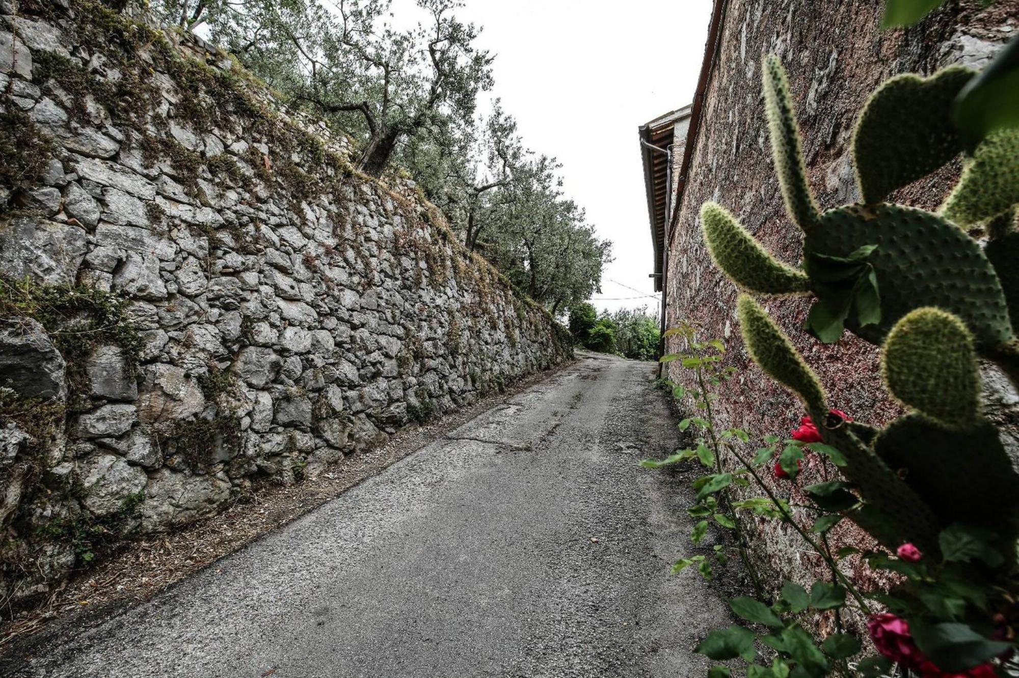 Villa Rurale Nei Pressi Castello Campello sul Clitunno Eksteriør billede