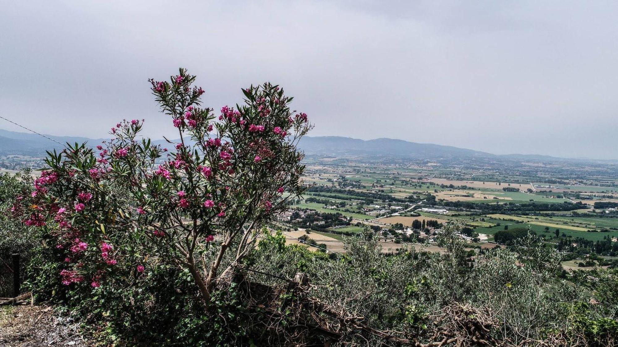 Villa Rurale Nei Pressi Castello Campello sul Clitunno Eksteriør billede